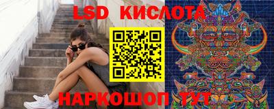 индика Владимир
