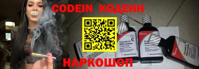 индика Владимир