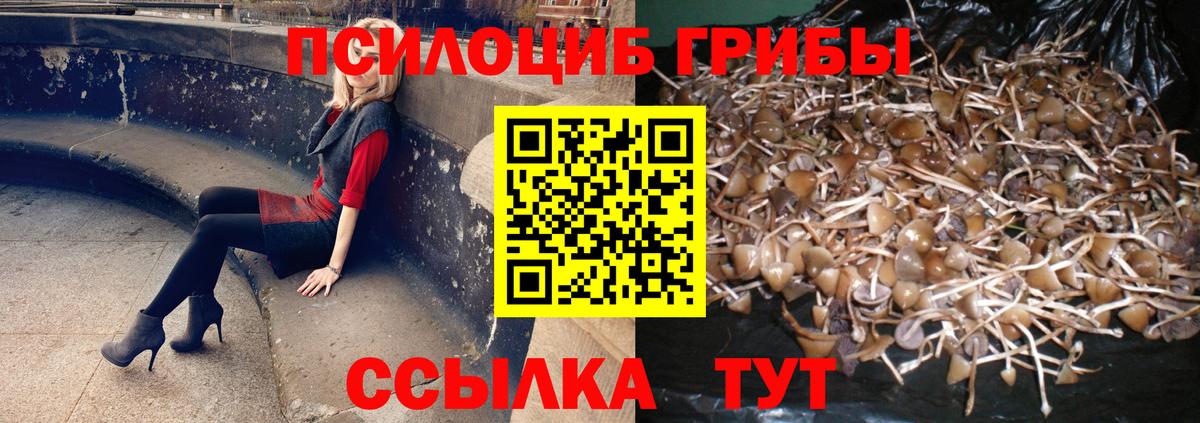 Галлюциногенные грибы GOLDEN TEACHER Брянск