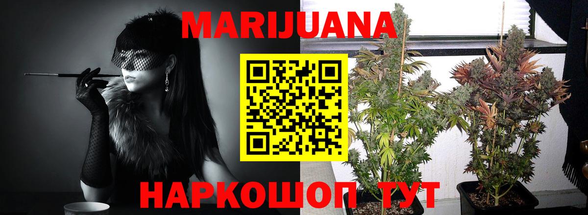МАРИХУАНА OG Kush Брянск